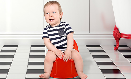 Round potty seat 2