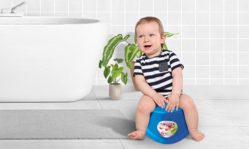 oval potty seat